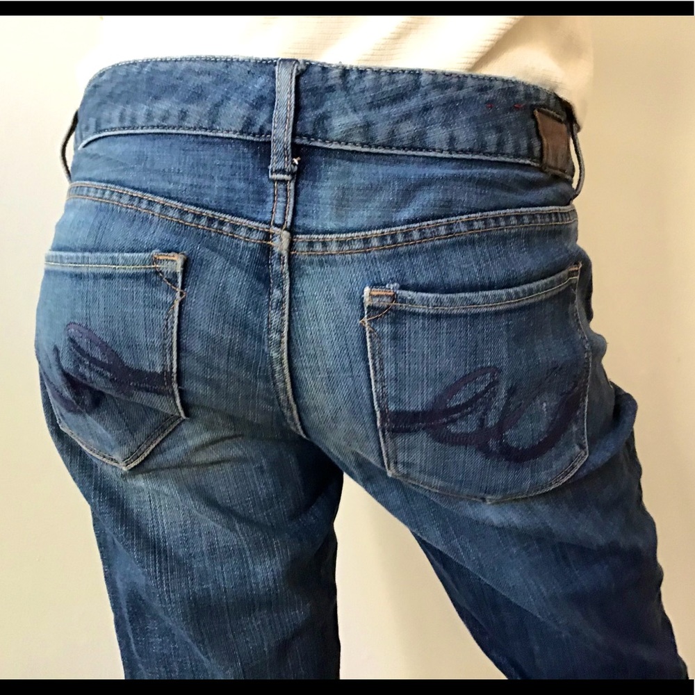 Fit and Flare Low Waist Zip-fly 2X Denim